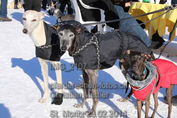 IMG 2107 prot